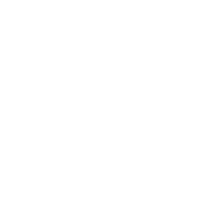 Logo_LGH_new